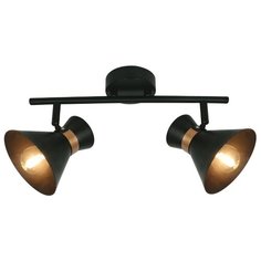 Спот BALTIMORE A1406AP-2BK Arte Lamp