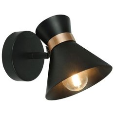Спот BALTIMORE A1406AP-1BK Arte Lamp