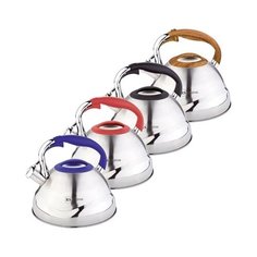 Чайник мет. со свистком 3,0 литра RS\WK - 7607-30 / 4 цвета Rainstahl