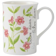 Кружка Price&Kensington Botanic, 300 мл, розовая (P_0043.007pk)