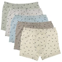 Трусы для мальчиков (боксеры) 75855, Цвет: Микс, Размер: 6/7, 5шт. в упаковке Donella
