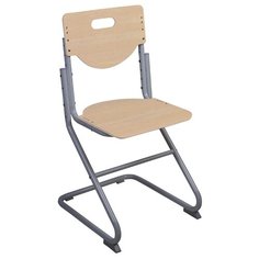 Детский растущий стул Астек SK-2 береза / серый