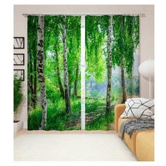 Фотошторы "Березовая аллея", 145*260 2 шт. Блэкаут Сирень