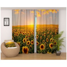 Фотошторы "Яркие подсолнухи", 145*260 см, 2 шт. Сирень