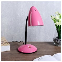 Настольная лампа RISALUX Ученик 4430189, 60 Вт