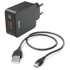 Комплект зар./устр. Hama H-178336 (00178336)