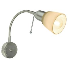 Спот LETTURA A7009AP-1SS Arte Lamp