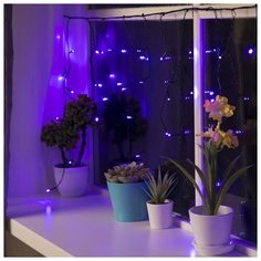 Гирлянда Luazon Lighting "Бахрома", 1,8*0,5 м, LED-48-220V, 8 режимов, нить темная, свечение фиолетовое (3556840)