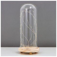 Лампа настольная Risalux LED, "Колба со светлячками", 3 ААА, 27*12*12 см