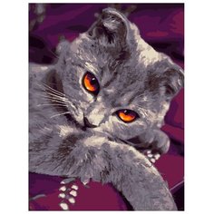 LORI Раскраска по номерам Любимец 28.5x38 см