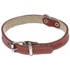 Ошейник Аркон Стандарт (о16п) 26-34 см красный