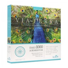 Пазл 1000 эл. "Виа Терра. Пёстрый павлин" Origami