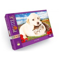 Пазлы 2000 элем Danko Toys