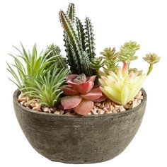 "Искусственное растеные ""Суккуленты микс"" в горшке 9*17см " Русские подарки