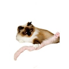 Игрушка для кошек Japan Premium Pet пушистая дразнилка в виде зайца для кошки, розовый