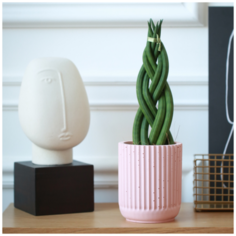 Декоративное кашпо Chloe MUSKO / Экобетон / Розовое