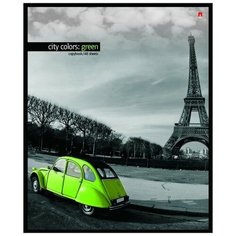 Тетради 48 листов серия "Город и цвет" Набор 5 шт. Цена за 5 штук. Альт