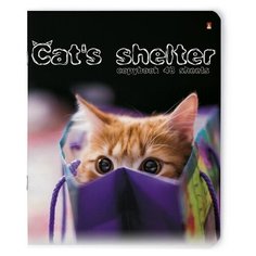 Тетради 48 листов серия "КОШКИН ДОМ". Набор 5 шт. Цена за 5 штук. Альт