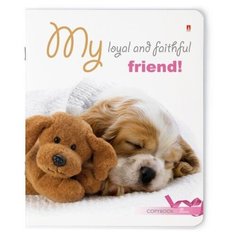 Тетради 48 листов "ЩЕНОЧКИ" Набор 5 шт. Цена за 5 штук. Альт