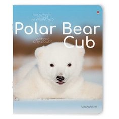 Тетради 48 листов "БЕЛЫЕ МЕДВЕЖАТА". Цены за 5 штук. Альт