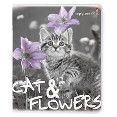 Тетради 48 листов серия "КОТЯТА И ЦВЕТЫ". Набор 5 шт. Цена за 5 штук. Альт