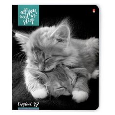 Тетради 48 листов серия "КОТЯТА "МУР-МУР" Набор 5 шт. Цена за 5 штук. Альт