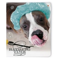 Тетради 48 листов серия "СОБАКИ.С ЛЕГКИМ ПАРОМ". Набор 5 шт. Цена за 5 штук. Альт