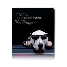 Тетради 48 листов серия "ПРИКОЛЬНЫЕ СОБАКИ". Набор 5 шт. Цена за 5 штук. Альт