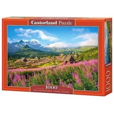 Пазл Castorland Татры. Польша, 1000 эл. С-104512