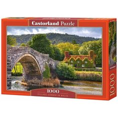 Пазл Castorland Местечко в Уэльсе, 1000 эл. 4673/C-104673