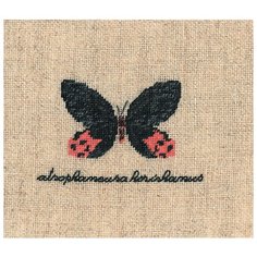 Набор для вышивания: PAPILLON : ATROPHANEURA( Бабочка ATROPHANEURA) Le Bonheur des Dames, 4,5*6 3625