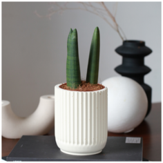 Декоративное кашпо Chloe MUSKO / Экобетон / Слоновая кость