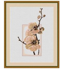 Набор для вышивания,Oрхидеи, Luca-S 14 х 27,5 см ( B291 )