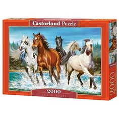 Пазл Castorland Call of nature (C-200702), 2000 дет.