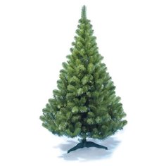 Царь елка Ель Клеопатра (комнатная), 240 см