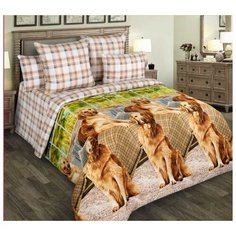 Постельное белье «Рич 1», бязь (Евро) Текс Дизайн