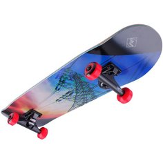 Скейтборд TechTeam Switch volt