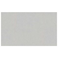 Обои HC71531-14 HomeColor Monochrome 1,06 м x 10,05 м винил на флизелине