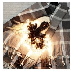 "Ретро гирлянда LVMPV "Шариковая", с диммером, черная, 18 метров, 36 ламп"