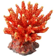 Коралл для аквариума Marvelous Aqva, К-002/5