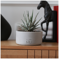 Широкое декоративное кашпо Ernest MUSKO / Экобетон / Светло-серое