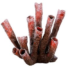 Коралл для аквариума Marvelous Aqva, К-046/2, 16х12х18см