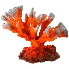 Коралл ветвь для аквариума Marvelous Aqva