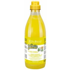 Шампунь Iv San Bernard Fruit of the Groomer Ginger and Elderberry против раздражений и перхоти для кошек и собак 1 л