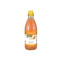 Шампунь Iv San Bernard Fruit of the Groomer Orange с силиконом для кошек и собак со слабой выпадающей шерстью 1 л