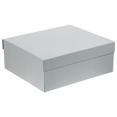 Коробка My Warm Box, серебристая Проект 111