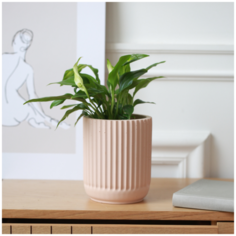 Декоративное кашпо Chloe MUSKO / Экобетон / Бежевое