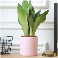 Декоративное кашпо Ernest MUSKO / Экобетон / Розовое