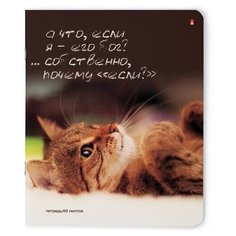 Тетради 48 листов " ПРИКОЛЫ.КОШАЧЬИ МЕЧТЫ" Набор 5 шт. Цена за 5 штук. Альт