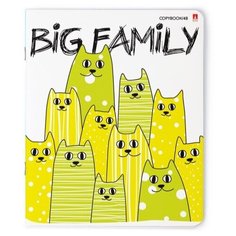 Тетради 48 листов "BIG FAMILY". Набор 5 шт. Цена за 5 штук. Альт